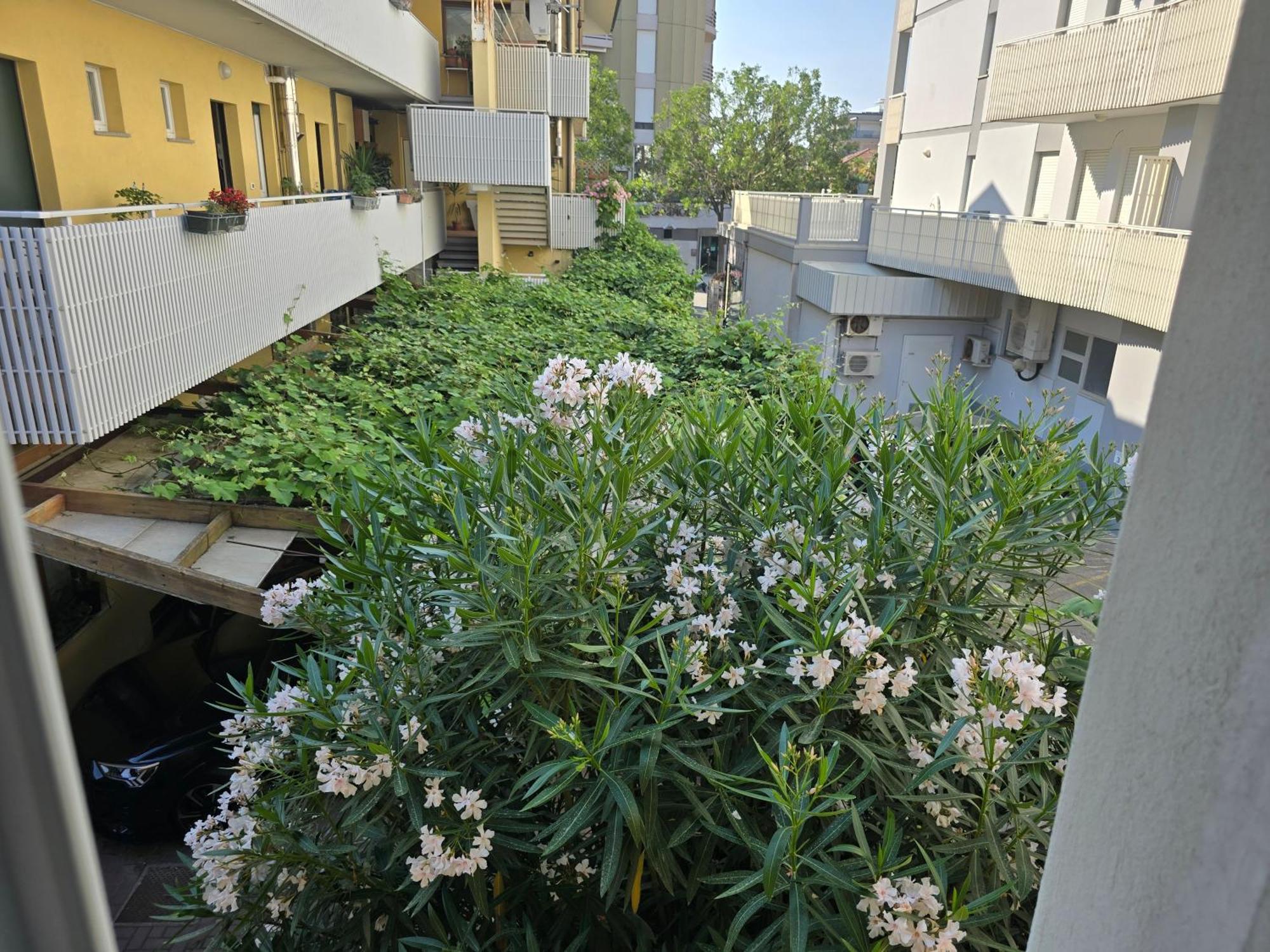 ליגננו סביאדורו Villa Nerina Apartment מראה חיצוני תמונה